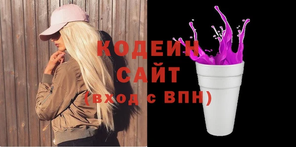 индика Бугульма