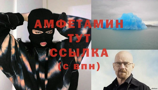 индика Бугульма